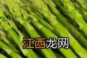 夏天鸽子炖什么补气血 夏季鸽子汤怎么炖不上火