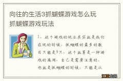 向往的生活3抓蝴蝶游戏怎么玩 抓蝴蝶游戏玩法