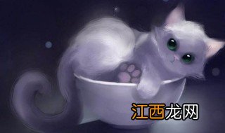 关于猫的网名男生 男生带猫字个性网名有哪些