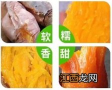 烟25红薯有什么特别，附简介