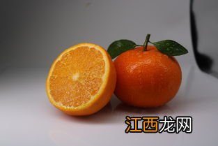 11月份至12月份沃柑管理，沃柑和橙子的区别