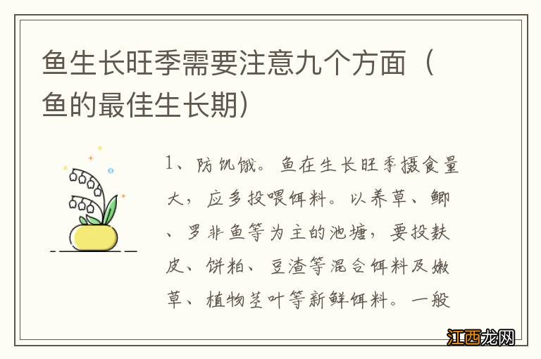 鱼的最佳生长期 鱼生长旺季需要注意九个方面