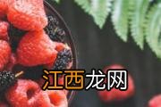 菠萝蜜熟透了烂烂的能吃吗 菠萝蜜果肉旁边的丝能吃吗