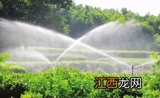 节水灌溉技术主要包括哪两个部分,节水灌溉有哪几种