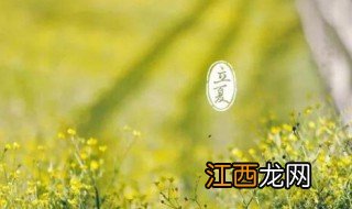 立夏怎样养生 立夏如何养生