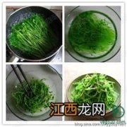 豌豆苗种植时间和方法，豌豆苗可以收割多少次