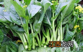 菜心亩产量一般多少斤,菜心是几月份的菜