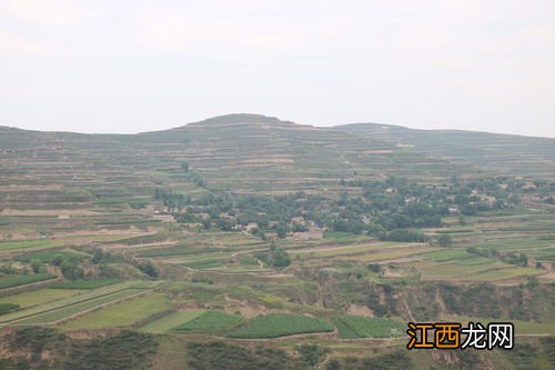 耕地可以种药材吗，耕地和基本农田的区别