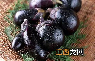 茄子什么时候传入中国