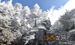 轿子雪山最佳旅游时间看雪 轿子雪山最佳旅游时间