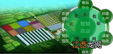 智慧农业包括什么,智慧农业项目有哪些