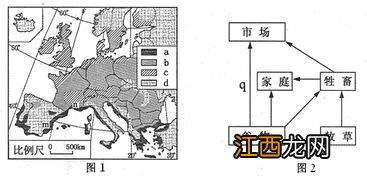 我国四大农业类型，农业类型和农业地域类型的区别