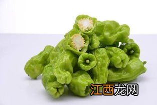 皱皮椒是二荆条吗