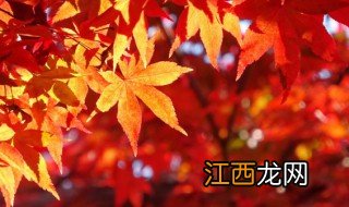 桓仁旅游什么时间最佳，桓仁冬季旅游