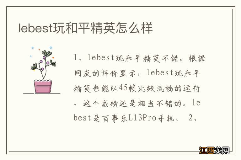 lebest玩和平精英怎么样