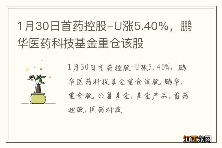 1月30日首药控股-U涨5.40%，鹏华医药科技基金重仓该股