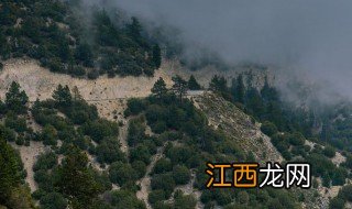 庐山最佳旅游时间 庐山最佳旅游路线