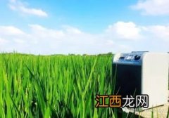 如何利用昆虫信息素防治害虫，昆虫信息素为什么是生物防治