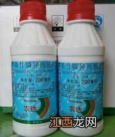 马泡瓜用什么除草剂除根,马泡瓜是怎么长出来的