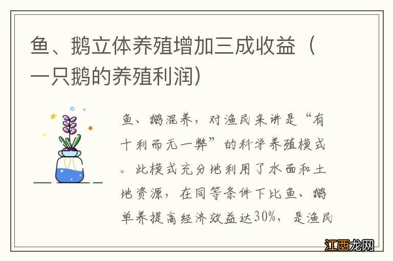 一只鹅的养殖利润 鱼、鹅立体养殖增加三成收益