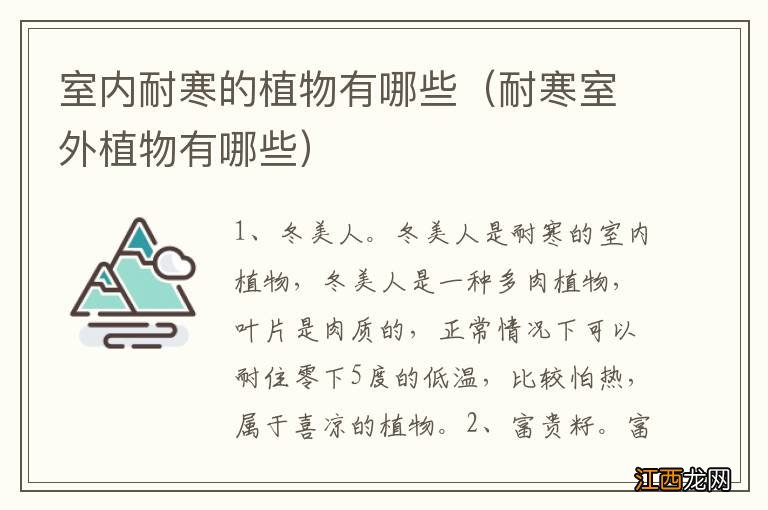 耐寒室外植物有哪些 室内耐寒的植物有哪些