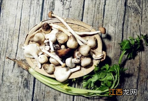 香菇放大气后怎样管护才能不出顶袋菇,怎么让香菇大量出菇