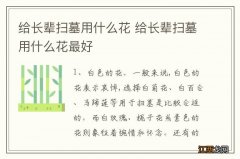 给长辈扫墓用什么花 给长辈扫墓用什么花最好