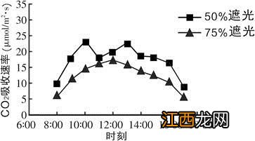 无性生殖的应用，无性生殖和营养繁殖的区别