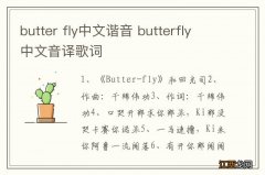 butter fly中文谐音 butterfly中文音译歌词