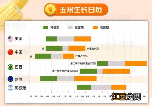 玉米的生长过程记录表，生长周期是多少天