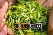 珍珠奶茶可以用绿茶代替吗 珍珠奶茶没有木薯粉用什么代替