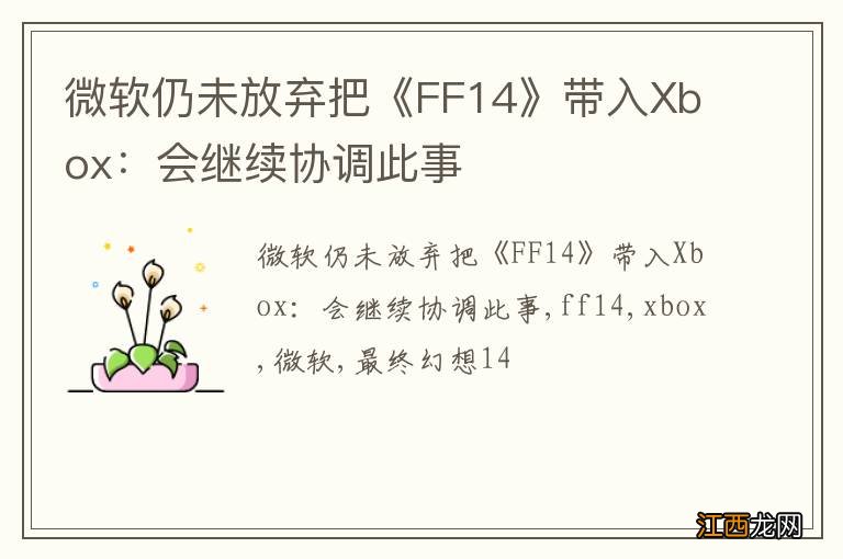 微软仍未放弃把《FF14》带入Xbox：会继续协调此事