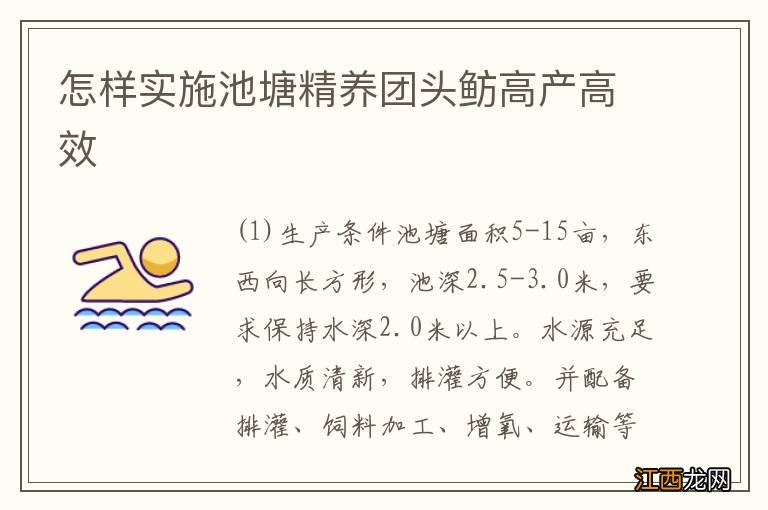 怎样实施池塘精养团头鲂高产高效