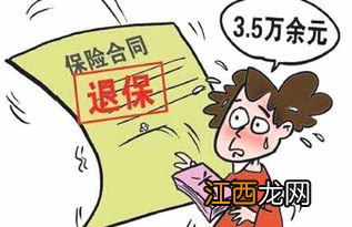 犹豫期可以退保吗？