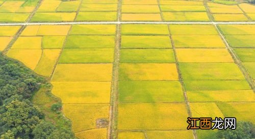 高标准农田建设的目的和意义，农田建设项目包括哪些