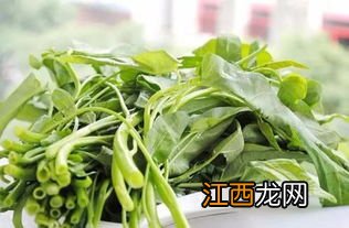 空心菜施什么肥长得快，附种植方法和时间