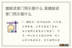 蟾蜍进家门预示着什么 真蟾蜍进家门预示着什么