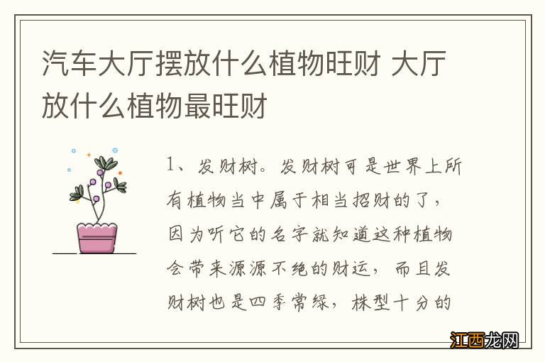 汽车大厅摆放什么植物旺财 大厅放什么植物最旺财