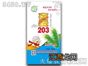 喜麦203小麦品种