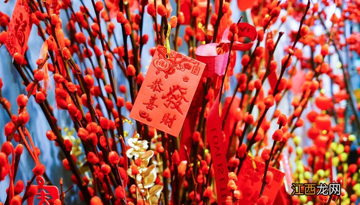 红色银柳是真花还是假花啊 红色银柳是真花还是假花