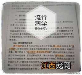 失能收入损失保险短期给付时间是？