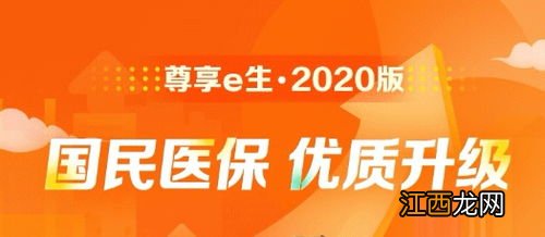 鸿福e生2020百万医疗退保能拿回全额保费吗？