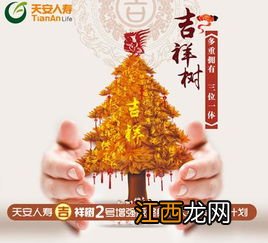 天安人寿吉祥树经典版保障范围是什么？