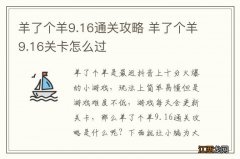 羊了个羊9.16通关攻略 羊了个羊9.16关卡怎么过