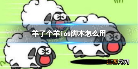 羊了个羊ios脚本怎么用 羊了个羊ios脚本下载使用教程