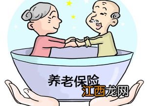 理财养老保险是什么？