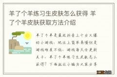 羊了个羊练习生皮肤怎么获得 羊了个羊皮肤获取方法介绍