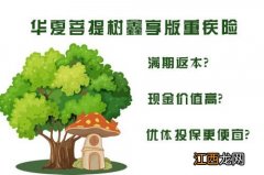 华夏菩提树鑫享版怎么返还？