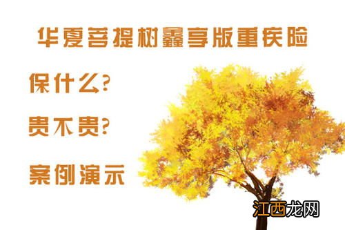 华夏菩提树鑫享版怎么返还？