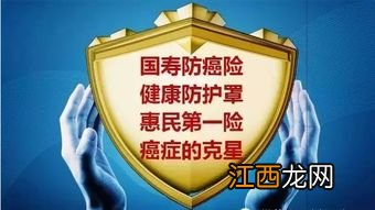 国寿康宁终身A和鸿寿年金组合收益是多少？